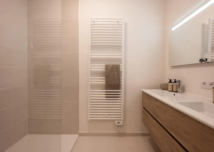 公寓 Modern With Terrace & Sea View 奥斯滕德