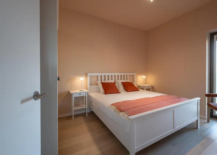 公寓 Modern With Terrace & Sea View 奥斯滕德